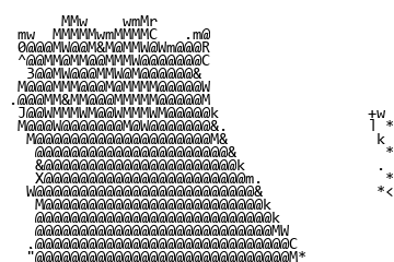 按字形轮廓生成的黑猫与手部字符画
