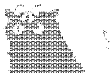 直方图均衡后的黑猫与手部字符画,眼睛和蝴蝶结更清晰