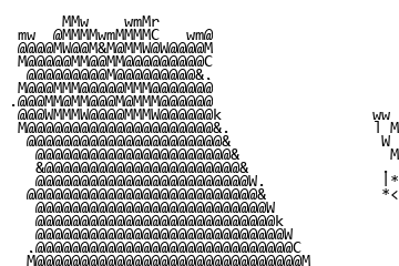 同时考虑形状与灰度后的黑猫与手部字符画